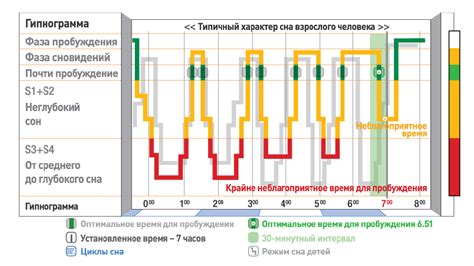 Роли сна и питания в обеспечении энергии и оптимальной работоспособности