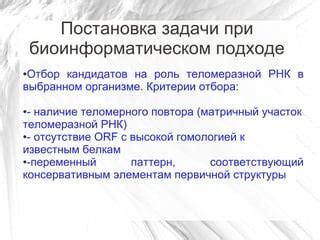 Роль автоответчика на выбранном контактном номере в улучшении эффективности бизнес-коммуникаций