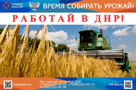 Роль аграриев в осеннее время: разъяснение запросов малышей детского учреждения