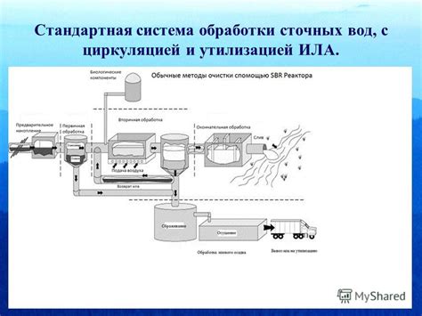 Роль активного ила в биологическом процессе обработки сточных вод