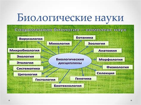 Роль биологии в повседневной жизни: от подбора пищи до ухода за собой
