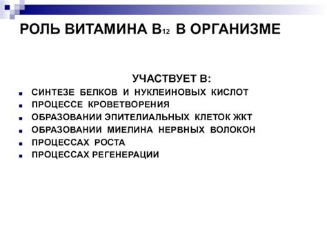 Роль витамина В12 в организме