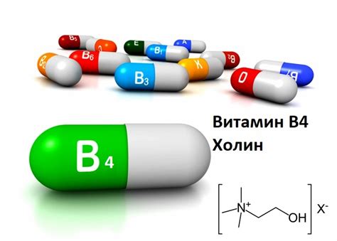 Роль витамина В4 в организме