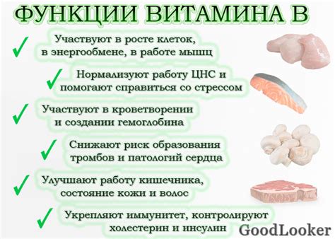 Роль витамина группы В для организма женщин