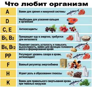 Роль витамина креатина в организме