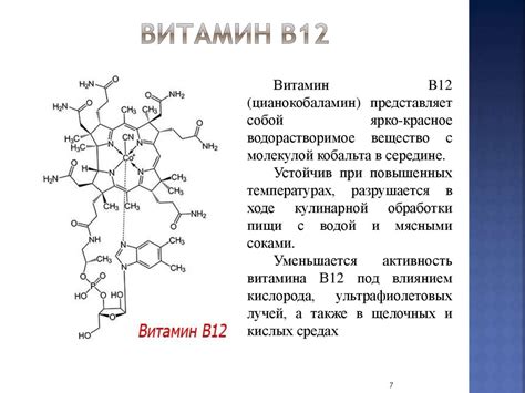 Роль витаминов В12 в организме