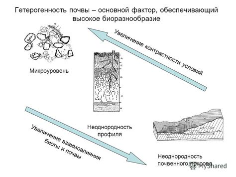 Роль вулканической активности в формировании плодородных почв