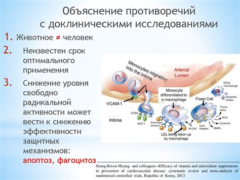 Роль в предотвращении некоторых заболеваний