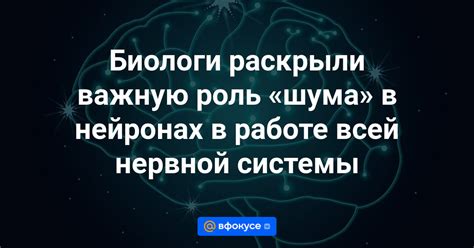 Роль в работе нервной системы