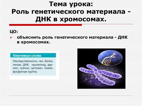 Роль генетического кода в обеспечении взаимосвязи биологических компонентов