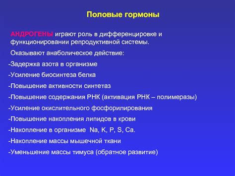 Роль гладкой мускулатуры в функционировании репродуктивной системы