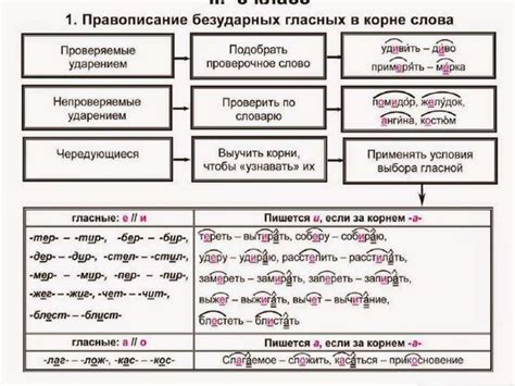 Роль гласных в речи: практическое применение в повседневном общении