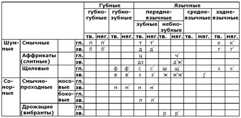 Роль гласных среднего ряда в системе русского языка