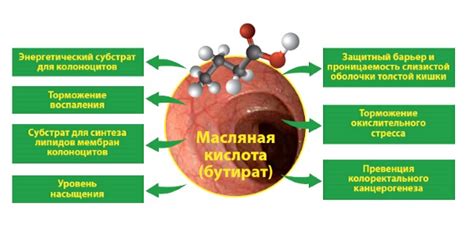 Роль гликолиза в обеспечении энергией клеток