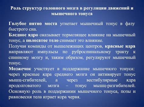 Роль головного положения в поддержании равновесия и развитии двигательных навыков