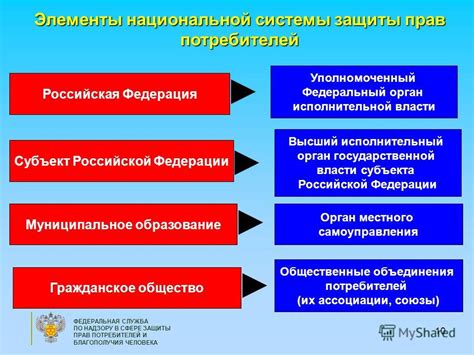 Роль государственных органов в защите интересов потребителей