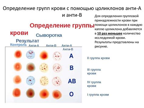 Роль групп крови в процедуре переливания