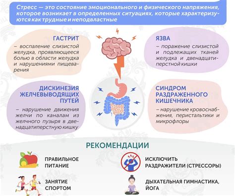 Роль желудочно-кишечного тракта в расщеплении пищевых протеинов