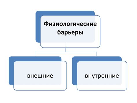 Роль защиты организма: барьеры и механизмы