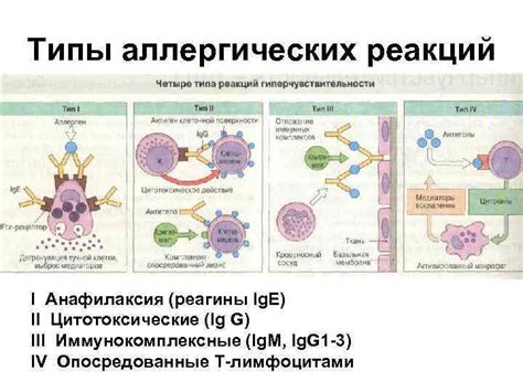 Роль зеленых яблок в снижении аллергических реакций