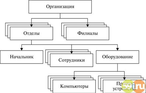 Роль иерархической организации в функционировании биосистемы