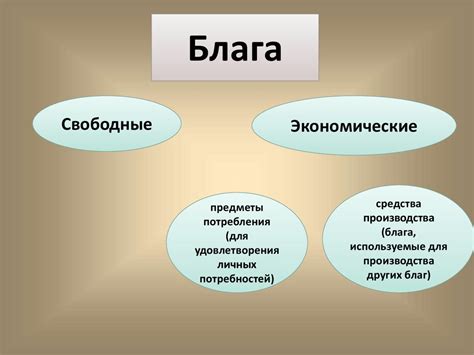 Роль изучения обществознания в шестом классе для повседневной жизни