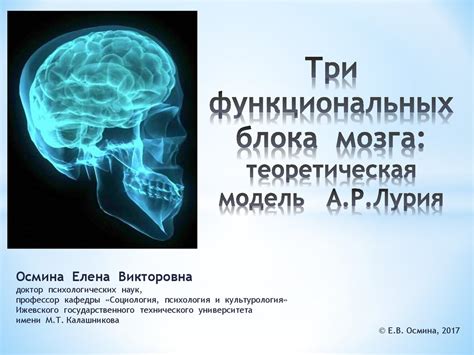 Роль и значение функциональных ядер мозга в обеспечении восприятия зрения и слуха