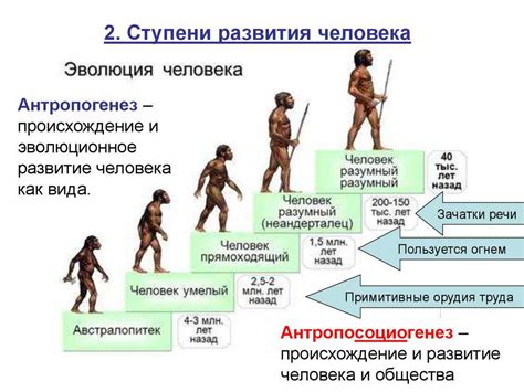 Роль и значения расселения в эволюции человечества