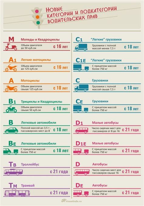 Роль и значимость маркировки as в рамках прав категории В1