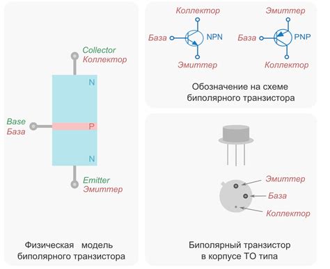 Роль и функции базы транзистора