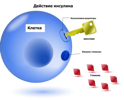 Роль йогурта в контроле глюкозы в крови