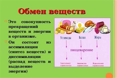 Роль йогурта в улучшении самочувствия при проблемах с pH-балансом желудочного сока