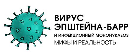 Роль капсидного антигена в развитии и распространении вируса Эпштейна-Барр