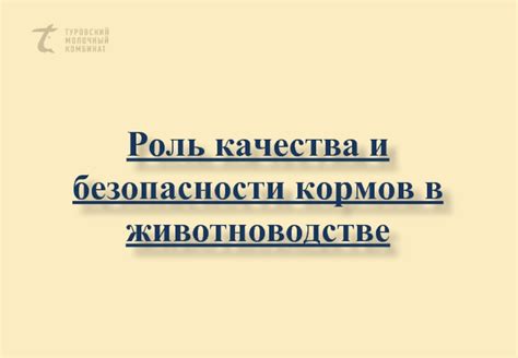 Роль качества красителей и инструментов в устойчивости эффекта