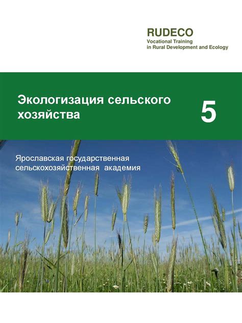 Роль клевера в сельском хозяйстве и пастбищном хозяйстве