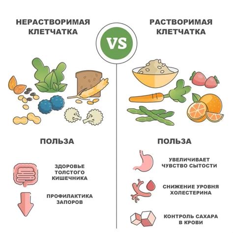 Роль клетчатки в приготовлении блюда для людей, страдающих от сахарного диабета