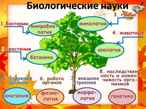 Роль клещевины в биологической системе