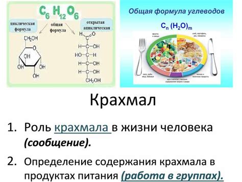 Роль крахмала в составе пищевых продуктов