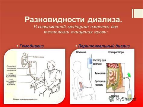 Роль крови в современной медицине