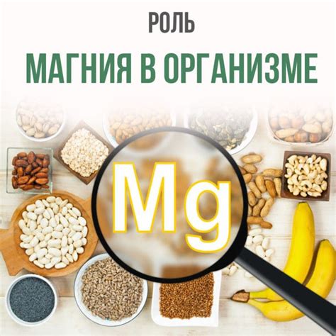Роль магния в организме растущего ребенка