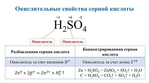 Роль магния и разбавленной серной кислоты в жизненных процессах