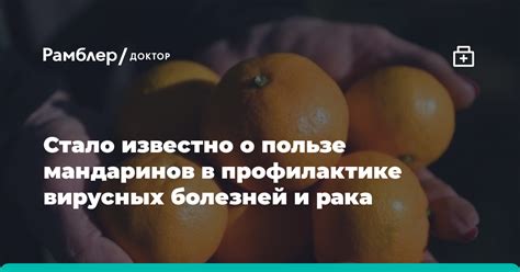 Роль мандаринов в профилактике рака