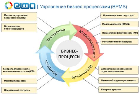 Роль математики и физики в эффективной организации бизнес-процессов