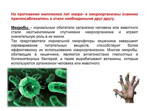 Роль микроорганизмов в возникновении заложенности носа и закладывания ушей