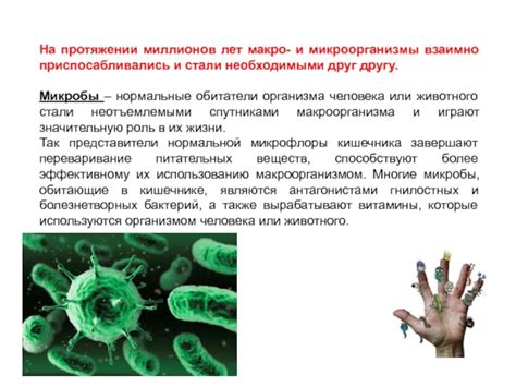 Роль микроорганизмов в инфицировании повреждения