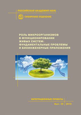 Роль микроорганизмов в функционировании септика: основные принципы