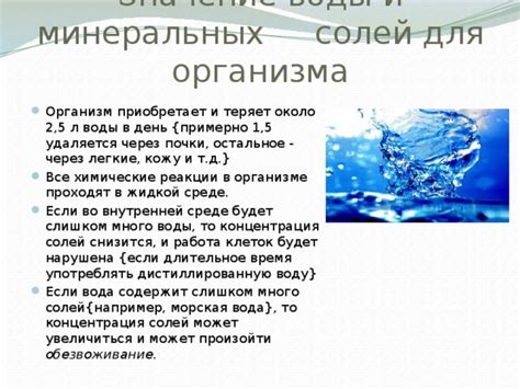 Роль минеральных напитков в восстановлении гидробаланса организма