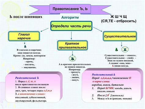 Роль мягкого знака в формировании разных смыслов глагола