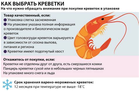 Роль мяса и морепродуктов в обеспечении организма цинком