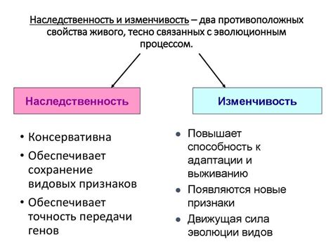 Роль наследственности в повышении уровней жиров у детей